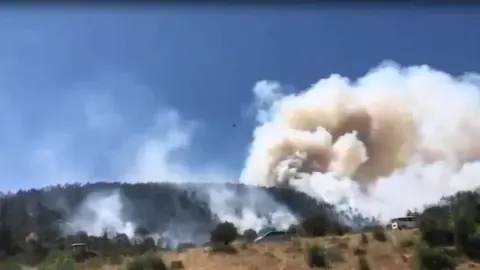 Balıkesir'de Alevler Üç Farklı Noktada Yükseldi: Kepsut, Cunda ve Altıeylül Alarmda
