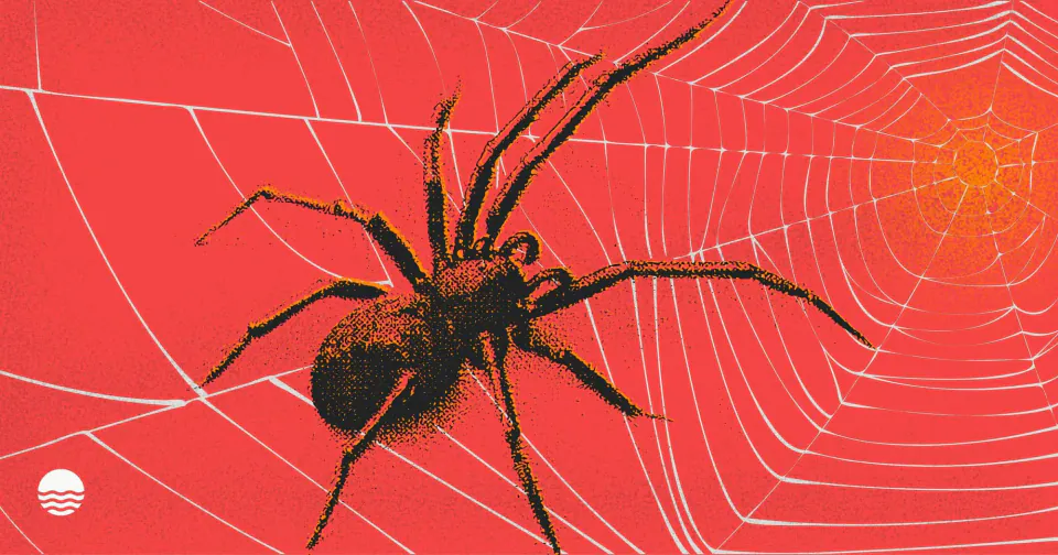 Scattered Spider Davasında Kritik Gelişme: 19 Yaşındaki Zanlı ABD'ye İade Edildi görseli