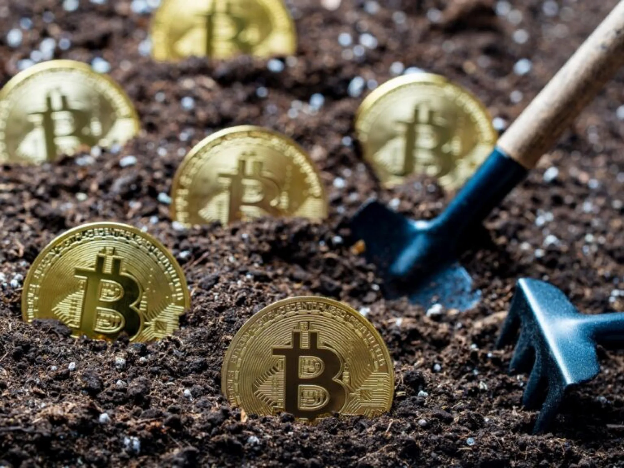 Belçika'da Kripto Vurgununa Darbe: 572 Bin Dolarlık Olta Atma Şebekesi Çökertildi Belçika'da Kripto Vurgununa Darbe: 572 Bin Dolarlık Olta Atma Şebekesi Çökertildi
