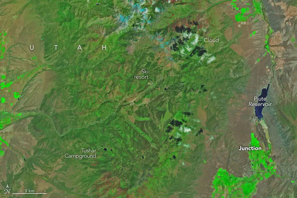 Utah'da Cottonwood Yangını Felaketi: 150 Yapı Kül Oldu görseli