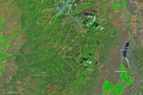 Utah'da Cottonwood Yangını Felaketi: 150 Yapı Kül Oldu