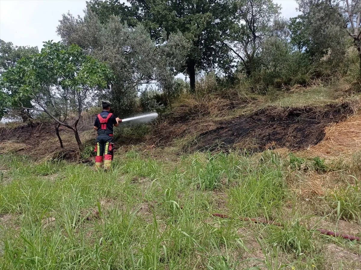 Balıkesir'de Zor Gün: Eş Zamanlı Orman Yangınları ve Trafik Kazaları Balıkesir'de Zor Gün: Eş Zamanlı Orman Yangınları ve Trafik Kazaları