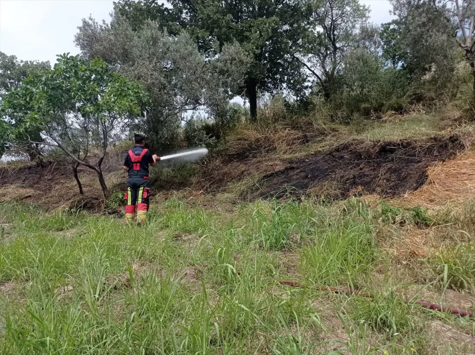 Balıkesir'de Zor Gün: Eş Zamanlı Orman Yangınları ve Trafik Kazaları görseli