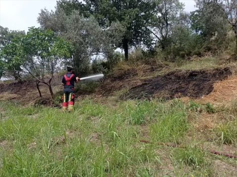 Balıkesir'de Zor Gün: Eş Zamanlı Orman Yangınları ve Trafik Kazaları