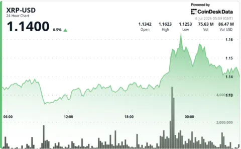 XRP'de Kritik Eşik: 1,14 Dolar Seviyesi Destek mi Olacak?