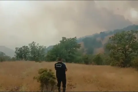 Malatya Pütürge'de Orman Yangını: Ekipler Alevlerle Mücadele Ediyor