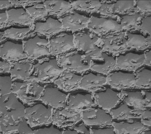 NASA'nın Curiosity Rover'ı Mars'ta Gizemli 'Bal Peteği' Yapıları Keşfetti