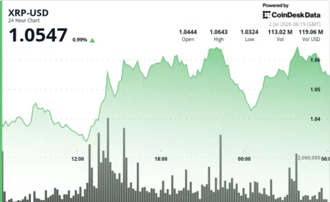 XRP'de Balina Hareketliliği Arttı: Kritik Eşik 1.10 Dolar